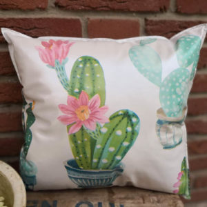 Gartenkissen Kaktus Close up