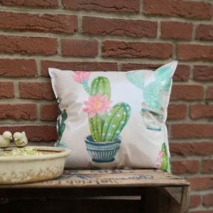 Gartenkissen Kaktus im Außenbereich
