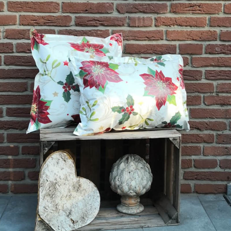 Weihnachtsstern_WachstuchkissenIMG-20180926-WA0314_Shop_klein Kissen mit Weihnachtsstern aus Wachstuch 2 Größen