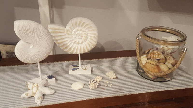 Maritime Deko selber machen - Muscheln