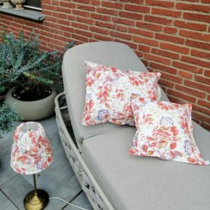 Wintergarten oder Terrasse verschönern Holunderbeere