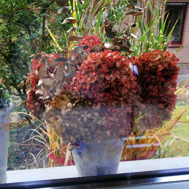 Deko mit Hortensien Strauss