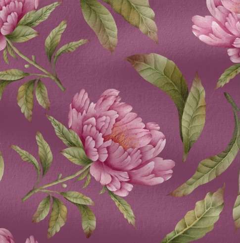 Rosa mit violettem Hintergrund